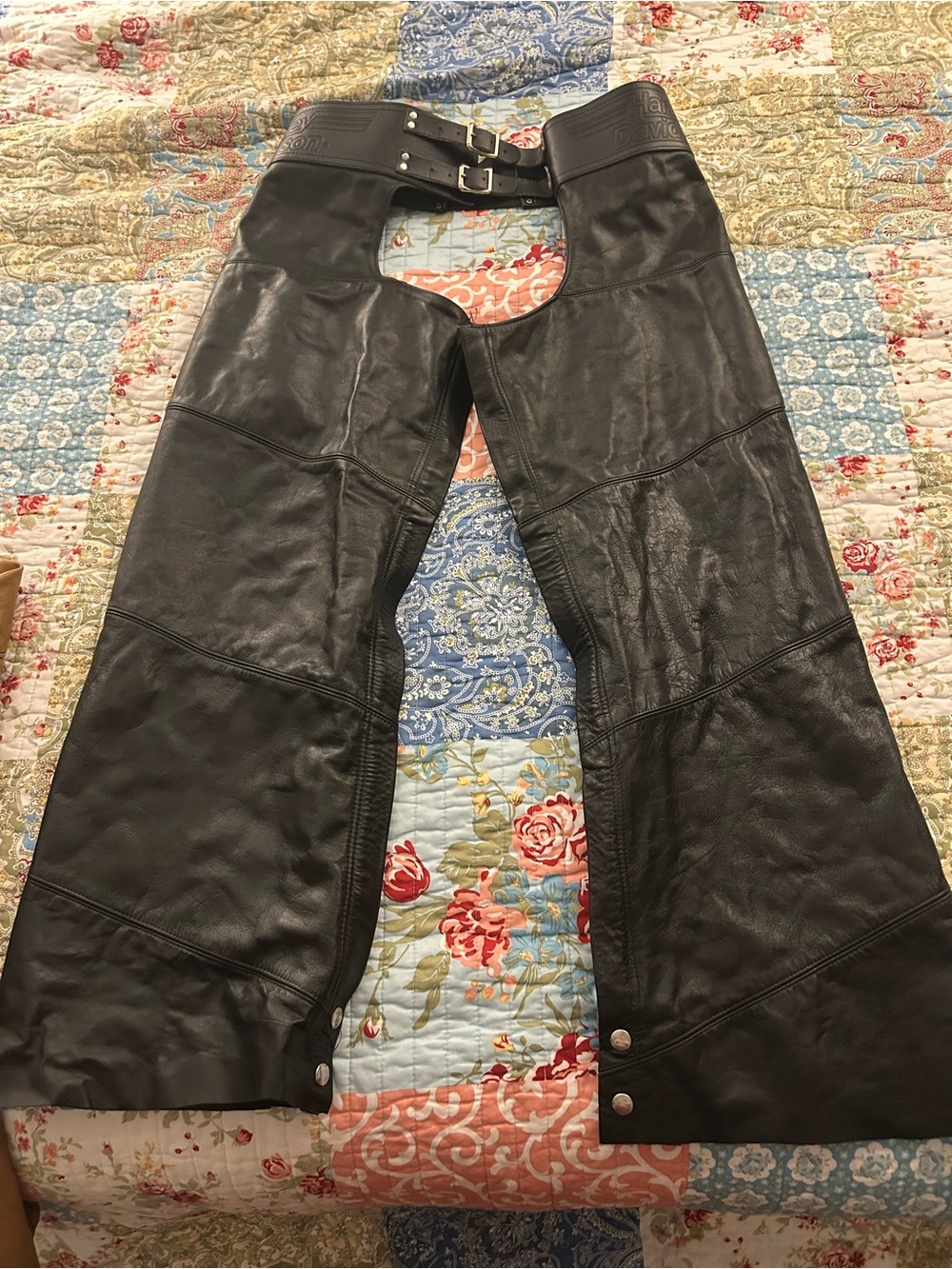 Women’s chaps - Picture 4 of 8